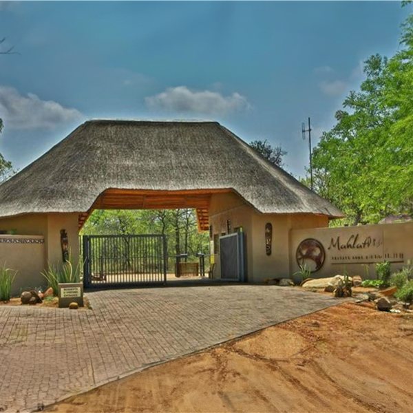 Farm 23 Silonque , PTN 84, 85, 112, 113, 114 & 115, Mahlathini Game Reserve - Property Ref: f108620, Phalaborwa, Limpopo